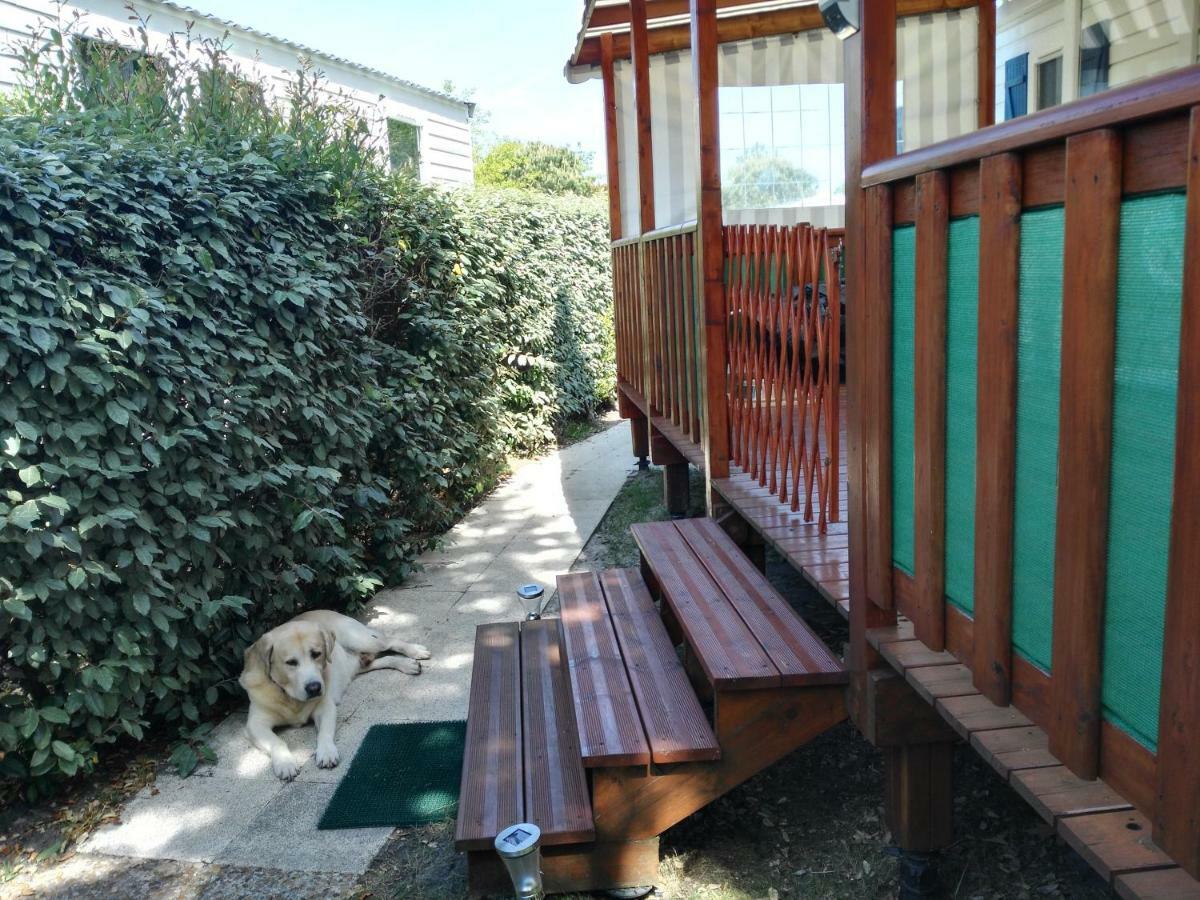 Mobil Home 43 Dans Camping 4 Etoiles Gastes 外观 照片